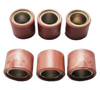QIAOG Lot de 6 galets variateur 21 x 17 mm 13,8 g compatibles avec le kit réglage scooter Geopolis250 4T
