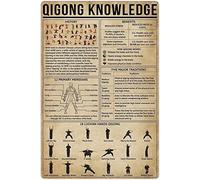 Qigong Knowledge - Plaque en métal vintage - Décoration murale - Apprentissage - Affiche infographique - Plaque de guide pour la maison, la cuisine, le café, le pub - Décoration murale amusante - 30,5