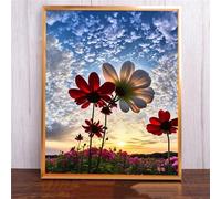 Qijinn Diamond Painting Kit,5D ciel de marguerites Broderie Art Diamant Painting Kit Complet DIY Peinture Diamant Adulte Cristal Strass Point de Croix Painting pour Maison Décor Round Drill,40x50 cm