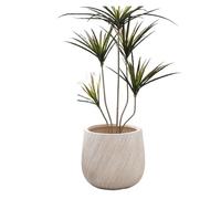 QINGGANG-0224 Pots de Fleurs d'intérieur Decorative Clay Flower Pots, Perfect for The Living Room: Pair Them with Minimalist-Style Houseplants(Blanc,Petit)