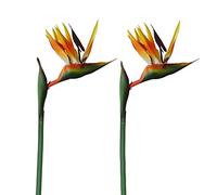 Qingriver Lot de 2 Oiseaux de Paradis artificiels de 81,3 cm pour décoration de Maison, Jardin, fête de Mariage (Jaune)