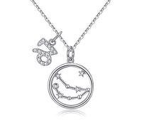 Qings Chaîne Collier Femme Argent - BFF Colliers Pendentif Capricorne du Zodiaque Signe Astrologique, Cadeaux pour Femmes Filles