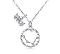 Qings Chaîne Collier Femme Argent - BFF Colliers Pendentif Verseau Aquarius du Zodiaque Signe Astrologique, Cadeaux de Bijoux pour Femmes Filles