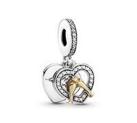 QINGTIAN Breloque en argent sterling 925 pour femme - Compatible avec les bracelets et colliers européens - Idéal pour les femmes et les filles1, one size fits all, Métal non précieux, no