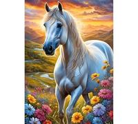 QINRUBB DIY 5D Cheval Blanc Peinture Diamant Painting Kit, 5D Sunset Art du Diamant Complet Kits, Fleurs Sauvages Diamond Art Kits Point de Croix Painting pour Adultes Débutants Maison Décor 30x40 cm