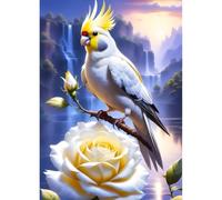 QINRUBB DIY 5D Cockatiel Parrot Diamond Art Kits Point de Croix pour Adultes Débutants, 5D Roses Blanches Art du Diamant Complet Kit, Pays des Fées Peinture Diamant Painting Kits Maison Décor 30x40cm