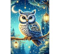 QINRUBB DIY Hibou Peinture Diamant Painting Kit, 5D Lanternes Art du Diamant Complet Kits, Nuit de Lune Diamond Art Kits Point de Croix Painting pour Adultes Débutants Maison Décor 30x40cm