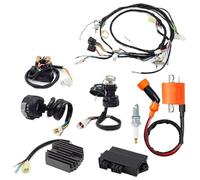 QINSHU pour Warrior pour YFM 350 X Kit Complet Comprenant Faisceau Câblage, Bobine D'allumage, Commodo Gauche, Allumeur, CDI, Relais Redresseur Bobine D'allumage Moteur