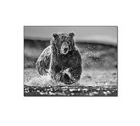 QITEX Tableaux Posters Et Arts DéCoratifs 50x70cm (Sans cadre) Noir et blanc Photographie Happy Bear Affiche Panda Jouant de l’eau Immersive Animal Poster toile peinture Affiches & ImprimerImage