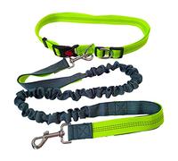 QitinDasen Laisse Chien Mains Libres, Ceinture Ajustable Vert et Élastique Rétractable à Double Poignée Gris pour Jogging, avec Coutures Réfléchissantes