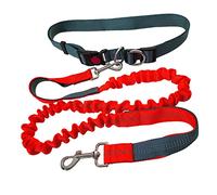 QitinDasen Laisse chien mains libres, ceinture réglable gris et laisse élastique rétractable à double poignée orange, jogging avec coutures réfléchissantes