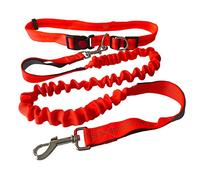 QitinDasen Laisse Chien Mains Libres Orange, Ceinture Ajustable et Élastique Rétractable à Double Poignée, pour Jogging avec Coutures Réfléchissantes (Poignée Gris)