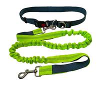 QitinDasen Laisse mains libres gris, ceinture rétractable verte, 130-180 cm