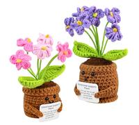QITIXI:OU Pocket Hug Lot de 2 pots de fleurs positifs au crochet - Mini fleurs créatives au crochet - Cadeau pour meilleur ami, enseignant et collègue - Pour départ, anniversaire et remise de diplôme