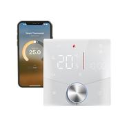 Qiumi Matter Thermostat de Chauffage pour système de Chauffage de l'eau Fonctionne avec Alexa Google Home homekit Apple Home