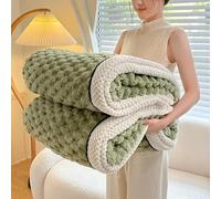 QIUMING Couverture en Velours de Tortue, Automne et Hiver, pour Dormir Chaud, Confortable, en Flanelle, Polaire, pour lit, Confortable, épaisse, Douce et Chaude