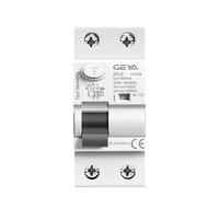 QIUSHIBO Disjoncteur Disjoncteur différentiel électromagnétique de Type AC AC 2 pôles 25A 40A 63A 100A 30mA 100mA 300mA Disjoncteurs(2P 63A,300mA)