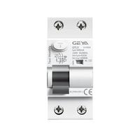 QIUSHIBO Disjoncteur Disjoncteur différentiel électromagnétique de Type AC AC 2 pôles 25A 40A 63A 100A 30mA 100mA 300mA Disjoncteurs(2P 40A,100mA)