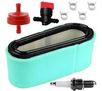 Qiuwanzia 496894S Filtre à air pour BS 12,5-17 CV (282700, 493909, 5053K) moteurs pour John-Hn D (LG496894JD, LG496894S) moteurs pour Craftsman 24151 moteurs 12,5-17 CV monocylindres 272403S, 272403