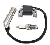 Qiuwanzia 595304 Bobine d'allumage pour BS 799650 592841 795315 215702 215802 215807 286702 28B702 17HP 17.5HP 19,5HP 20HP Moteur OHV Intek tondeuse à gazon pour John Deere L110 Magnéto à induit