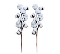 Qiwieod Cotton Bouquet 2 Pc, 9 Têtes par Tige, Séchées Coton Decoration, Décoration pour Vase Mariage Ou Fête, Party Wedding Room Cafe Décoration D'intérieur