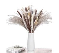 Qixora Pampas Séchées Décoration,102 Pièces Fleurs Séchées d'automne, Pampa Séchées Naturelle Décoration Idéal pour Boho Salons, Chambres, Salles à Manger, Bureaux, Mariages et Fêtes