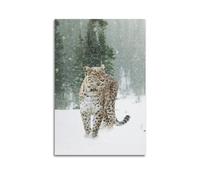 qiyan Poster décoratif sur toile représentant un animal dans la neige et le léopard - Impression d'art moderne pour chambre à coucher - 30 x 45 cm