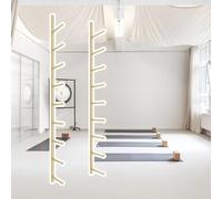 QIYFOZ Support Mural de Rangement pour Tapis de Yoga à 9 Niveaux, Support pour équipement de Gym à Domicile pour Rouleau en Mousse, Organiseur en métal pour Suspendre Serviette