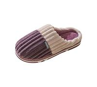QJDFLL Chaussons Femme Plat Femmes Accueil Couples Pantoufles Chaussures à Enfiler Garder Les Pantoufles Chaussures Chaud Fourrure Pantoufles pour Femmes(Violet,38)