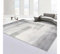 QJDTZMD Tapis Salon Grand 200 x 250 cm Tapis Chambre Doux Antidérapant intérieur pour la décoration de la Maison Ligne Moderne Encre Grise