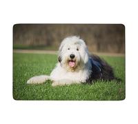 Qjjinxior Carpet Old English Sheepdog Tapis de sol doux pour salon, chambre à coucher (100 x 150 cm)