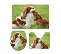 Qjjinxior Lot de 3 tapis de salle de bain antidérapants pour salle de bain et toilettes, motif épagneul Cavalier King Charles Spaniel