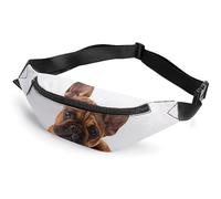 Qjjinxior Sac banane, notes de musique colorées, sac banane réglable pour course à pied, marche, randonnée, Bouledogue français Patte et Chien, 36*15cm