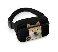 Qjjinxior Sac banane, sac banane réglable pour course à pied, marche, randonnée, Shiba Lnu Knock, 20x13cm