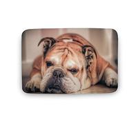 Qjjinxior Tapis de bain, tapis de porte motif bouledogue anglais, super absorbant et lavable pour salle de bain, cuisine, entrée, 50 x 80 cm