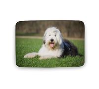 Qjjinxior Tapis de bain, vieux chien de berger anglais, super absorbant et lavable, pour salle de bain, cuisine, entrée, 50 x 80 cm