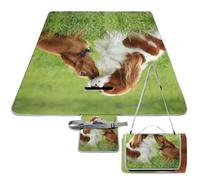 Qjjinxior Tapis de pique-nique, couverture de pique-nique carrée Cavalier King Charles Spaniel, tapis d'extérieur, 148 cm x 148 cm