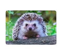 Qjjinxior Tapis mignon petit hérisson, tapis de sol doux pour salon, chambre à coucher (100 x 150 cm)