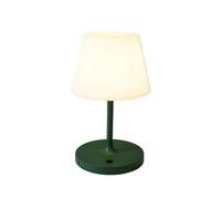 QJRGUY Tableau Lumineux à Eclaboussure Non À Finition, sans Brosse Électrique, Compatible avec la Table d’Écologie de Restauration Intérieure, Bureau, Chambres d’Hôtes (Vert)