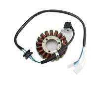 Qklyxr Bobine de stator magnéto générateur moto d'allumage for TT250R TT-R 1993-2004 for TTR250 TT-R250 1999-2006 plaque Pièces de rechange pour nettoyeur à vapeur