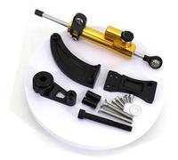 Qklyxr for Dualtron, for Spider, Raptor2, Eagle Pro, Kit de Support Montage stabilité d'amortisseur Direction Scooter électrique Amortisseur de Direction pour Trottinette électrique(Black 1)