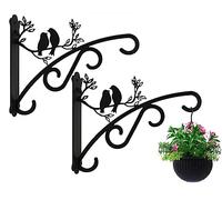 Qktxktzy Lot de 2 supports de panier suspendus pour extérieur et intérieur, grands supports de plantes avec crochets muraux en acier massif pour lanterne/lumière/mangeoire à oiseaux, 2 crochets de