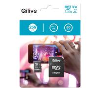 Ql Msd 256gb Uhs-i U1 V10 A1