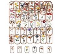 QLEUIFT 50 Pièces Autocollants Fleurs Botaniques Vintage, Stickers Plante Transparent Aquarelle, Autocollants Imperméables PET pour Scrapbooking Journal Album DIY Décoration Naturelle