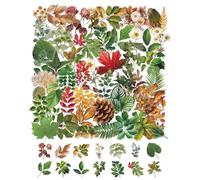 QLEUIFT 50 Pièces Autocollants Plantes Feuilles Vertes, Stickers Botaniques Transparents Vintage,Autocollants Imperméables PET pour Scrapbooking,Journal, Album Photo,Décoration DIY Fleurs Naturelles