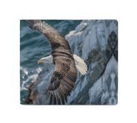 QLPTM Soaring Eagle Pictures Portefeuille en cuir pour homme et femme - Portefeuille fin pour cartes de crédit - Petit portefeuille à deux volets, images d'aigle planant, taille unique, décontracté,