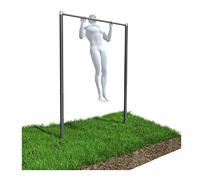 QLS Barre de traction Davski Kraftstation Station Street Workout pour le dos Entraînement en plein air ZO1