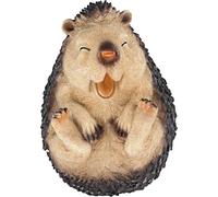 Qm22559 Roly-Poly Laughing Hedgehog,Small,Multicoloured,10 X 10 X 12.5 Cm