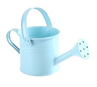 QmjdDymx Petit arrosage en métal Les Enfants Peuvent avec Une poignée pour Une Utilisation intérieure/extérieure (Bleu Clair), Mini arrosage, Enfants 2.8x4.7