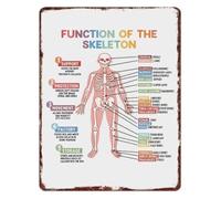 QMKADFQXF Function of The Skeleton Educational Metal Sign Human Anatomy Knowledge Wall Decor for Classroom Clinic Office Aluminum 8 X 12 in